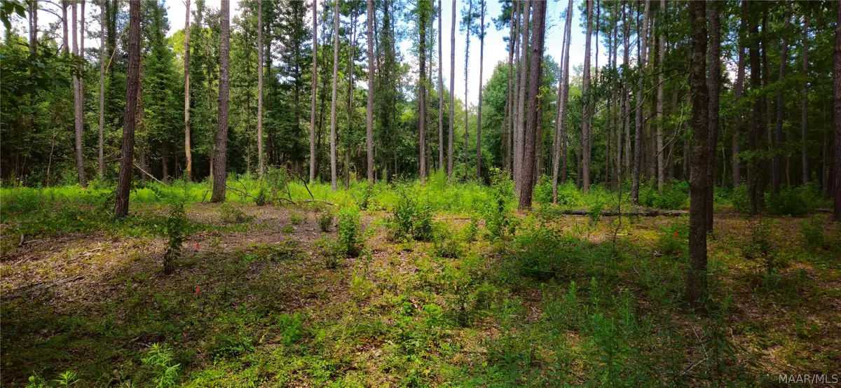 2942 Sanders Lane, Montgomery, AL 36110 - #1