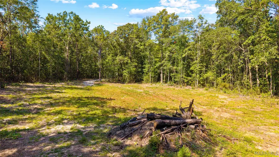 1988 County Road 19 N, Prattville, AL 36067 - #3
