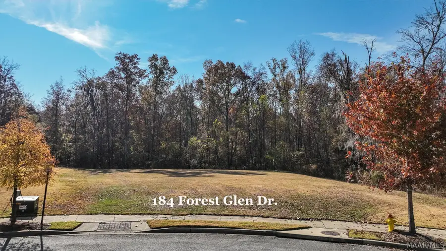 184 Forest Glen Drive, Pike Road, AL 36064 - #3