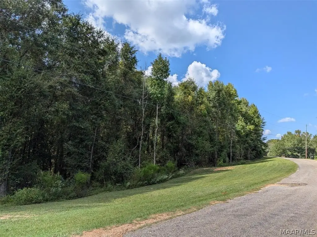 4 Kyle Road, Valley Grande, AL 36703 - #1