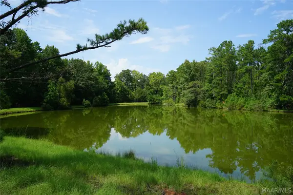 22246 Lapine Highway, Lapine, AL 36046
