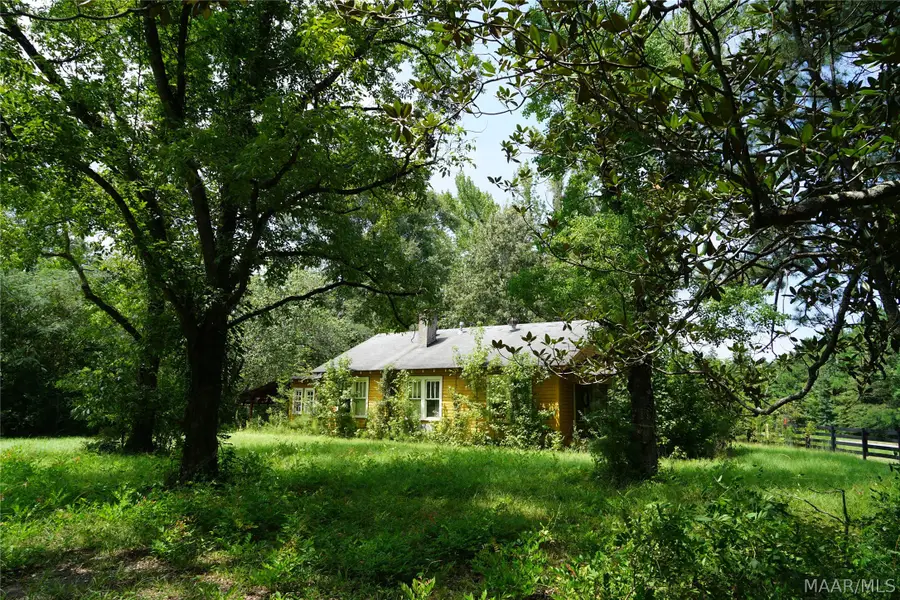 22246 Lapine Highway, Lapine, AL 36046 - #3