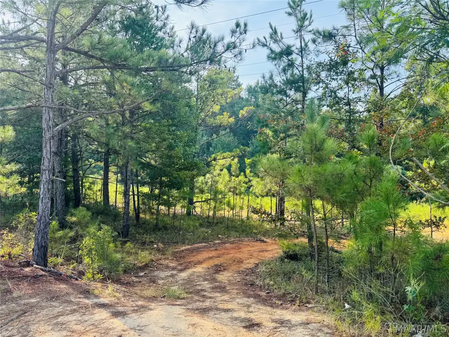 3 Copeland Road, Wetumpka, AL 36092 - #3
