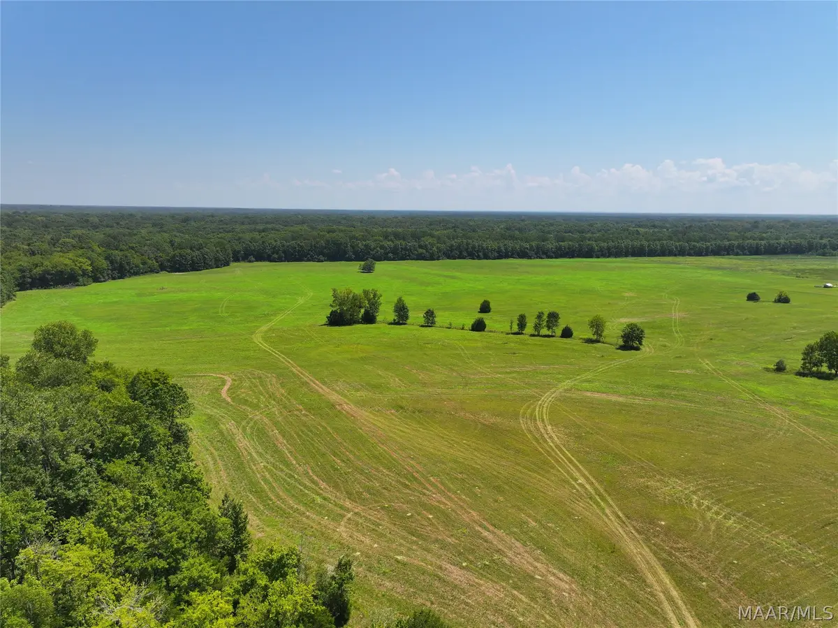 00 Foggy Hollow Trail, Pike Road, AL 36064 - #1