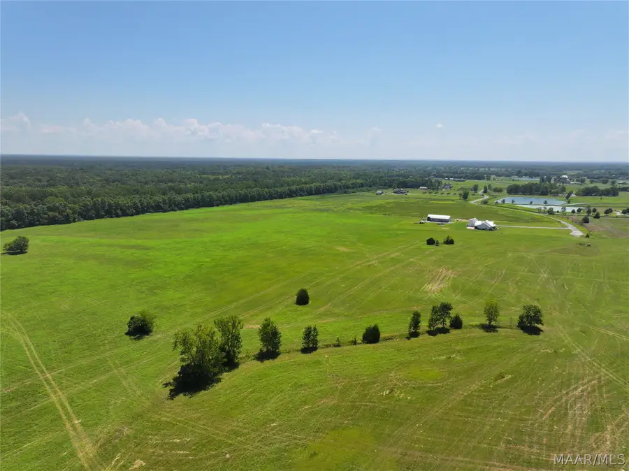 00 Foggy Hollow Trail, Pike Road, AL 36064 - #2