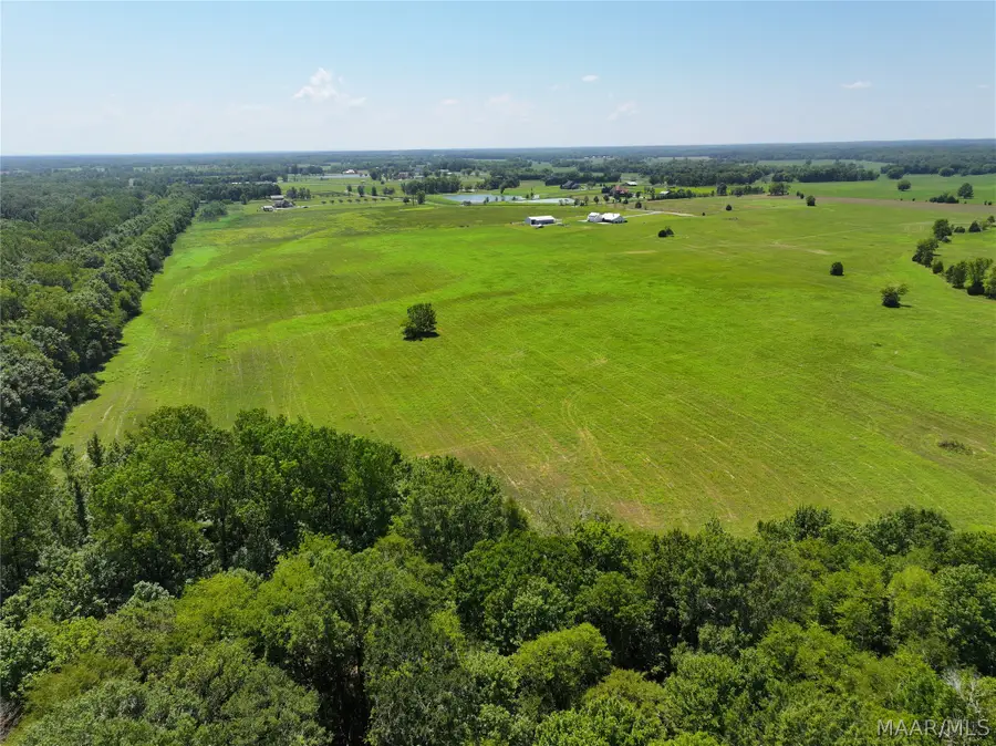 00 Foggy Hollow Trail, Pike Road, AL 36064 - #3