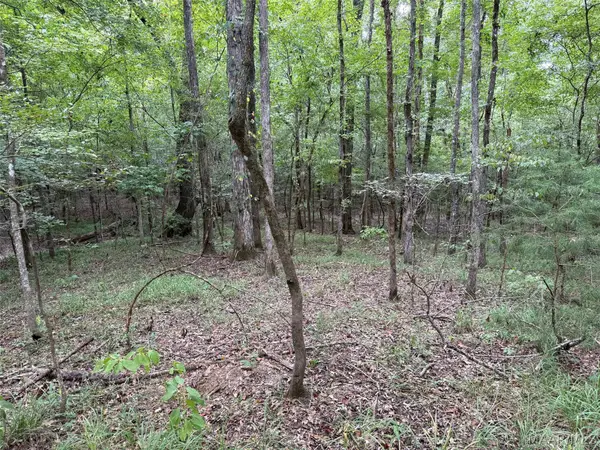 0 County Road 199, Troy, AL 36081