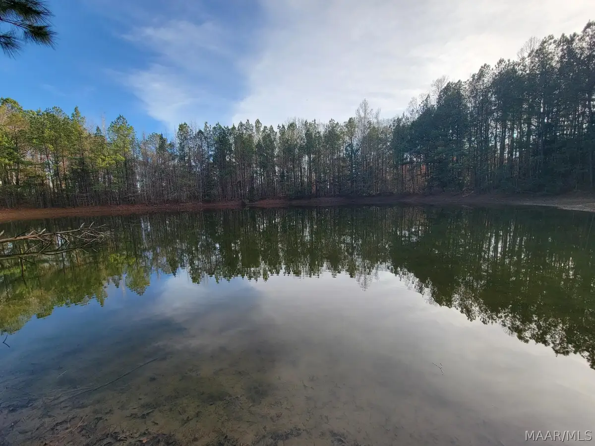 0 County Road 15 Road, Maplesville, AL 36750 - #1