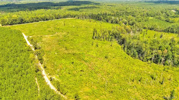 0000 Halso Mill Road, Greenville, AL 36037