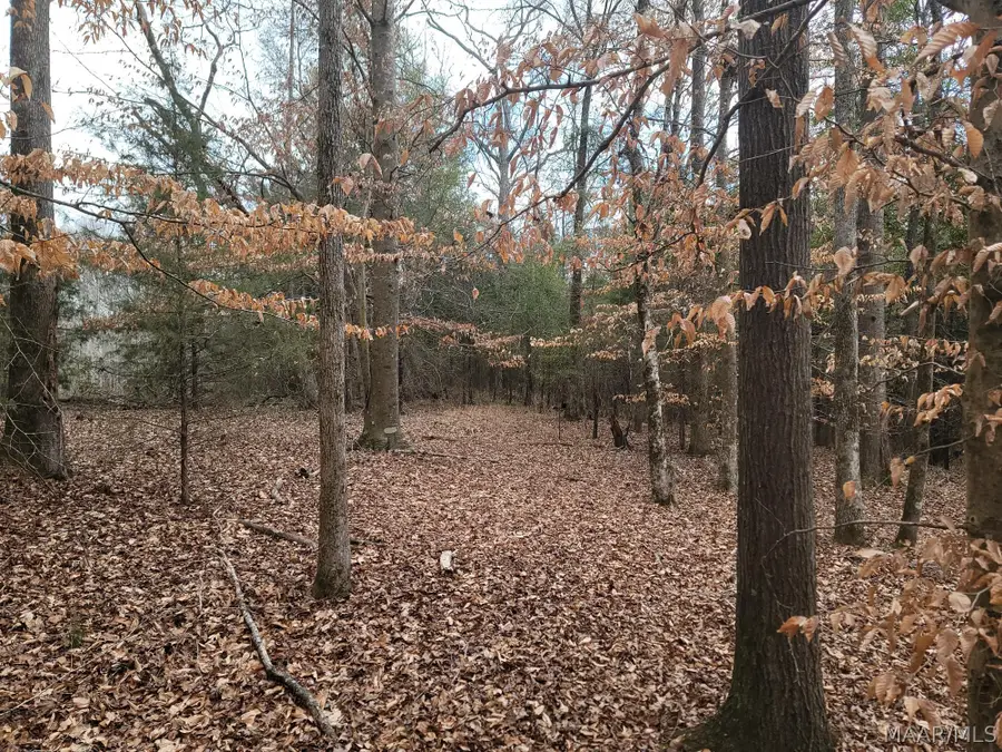 00 County Road 15 Road, Maplesville, AL 36750 - #2