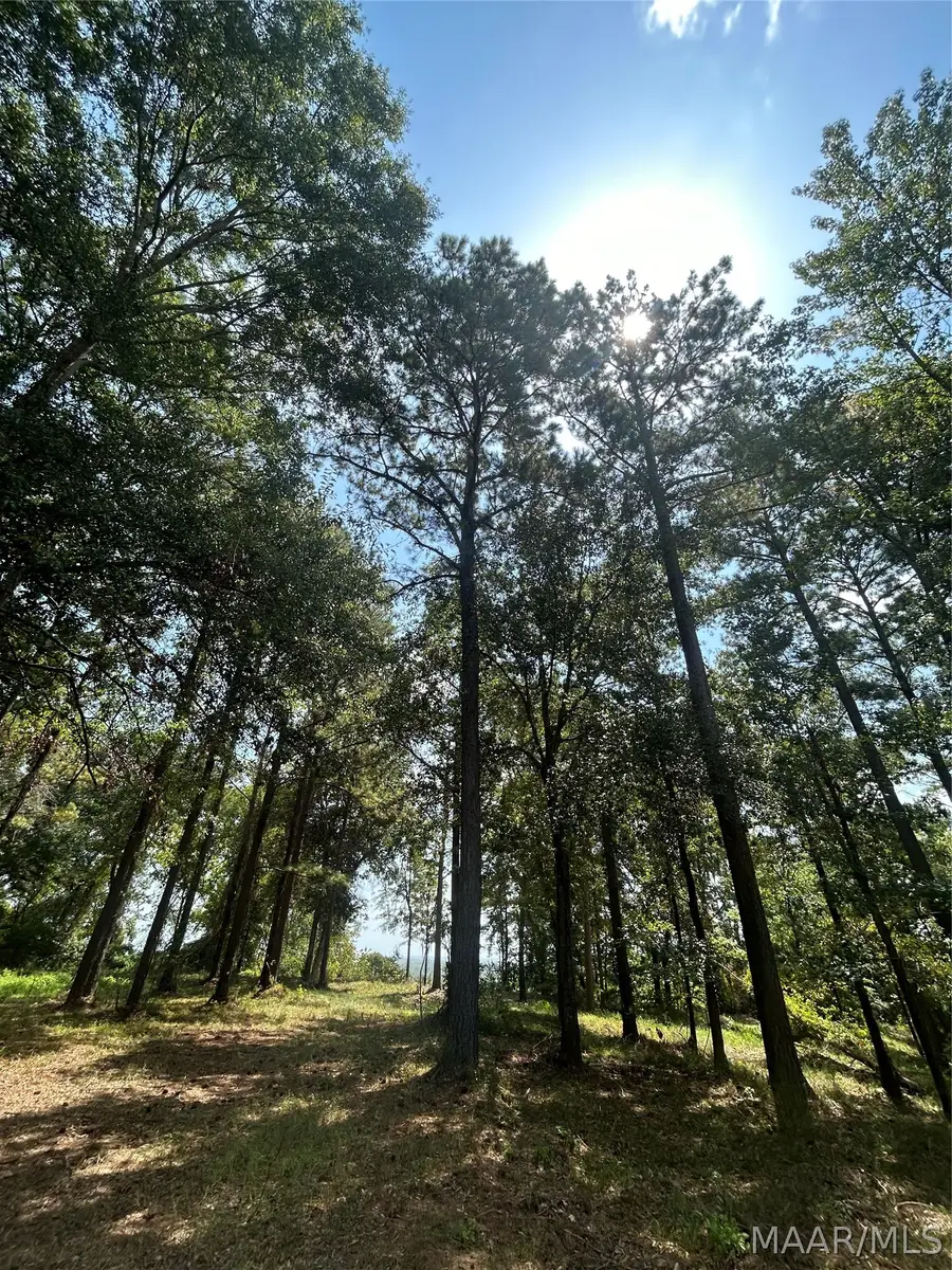 3 Prairie Bluff Drive, Catherine, AL 36728 - #2