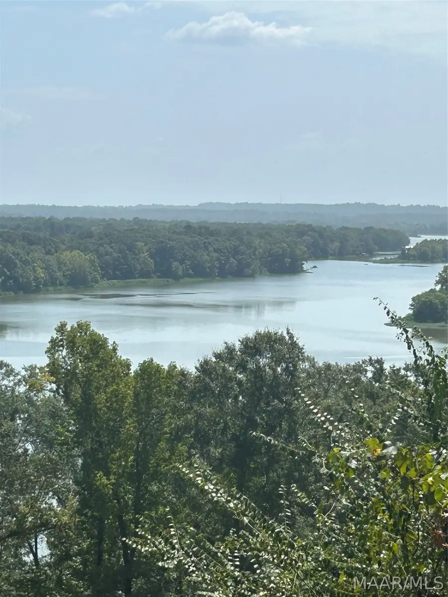 3 Prairie Bluff Drive, Catherine, AL 36728 - #3