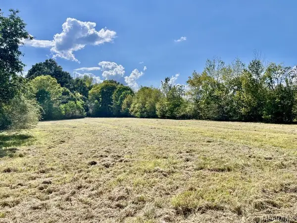 1122 Jackson Lake Road, Millbrook, AL 36054