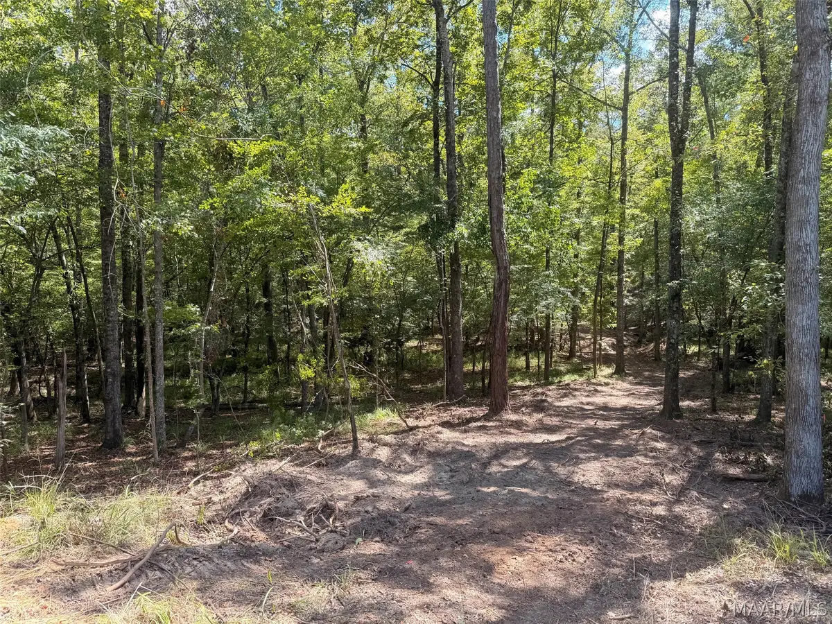 90 Mark Trail N, Wetumpka, AL 36093 - #1