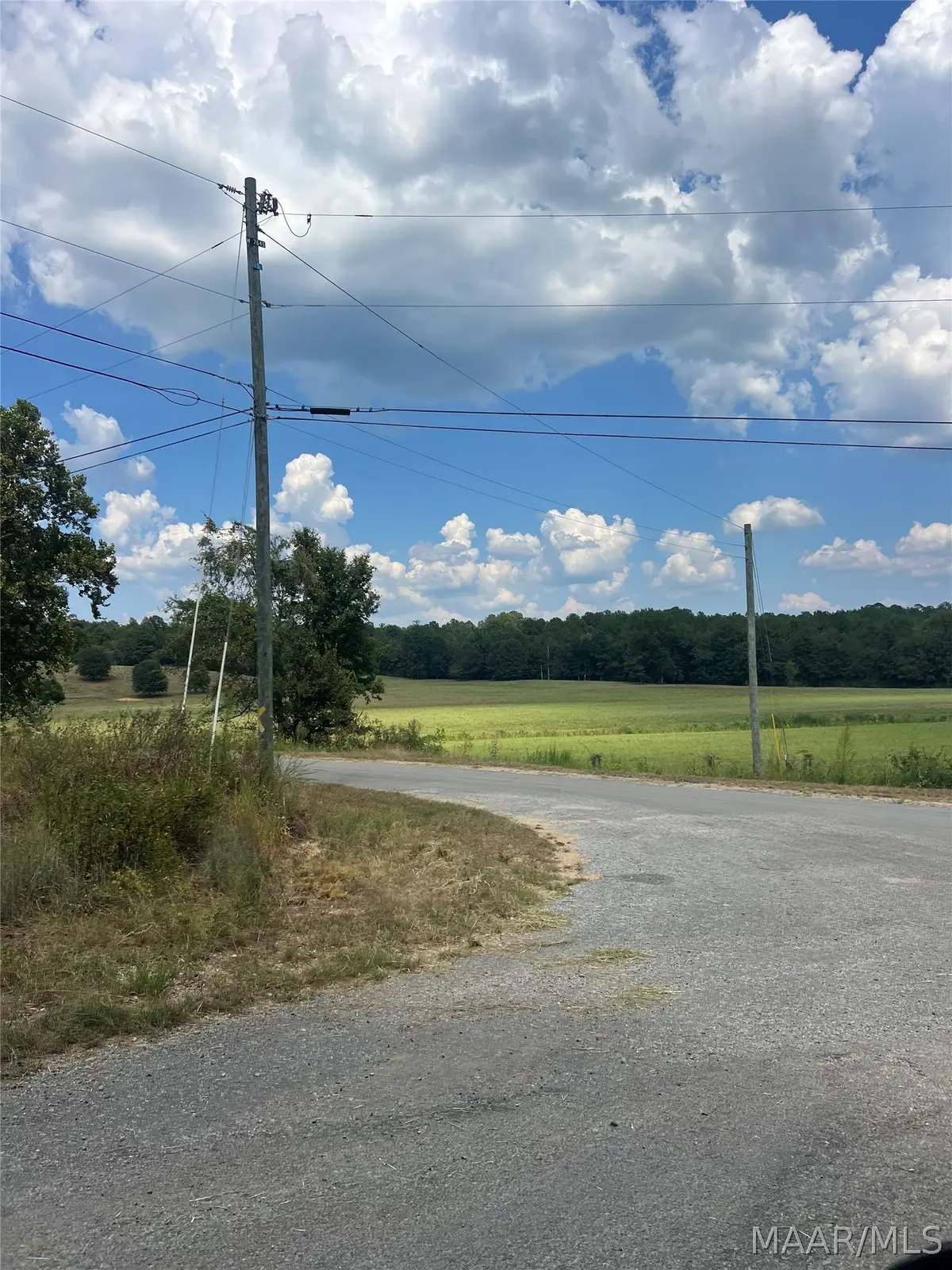 0 County Road 8 Road, Clanton, AL 35064 - #1