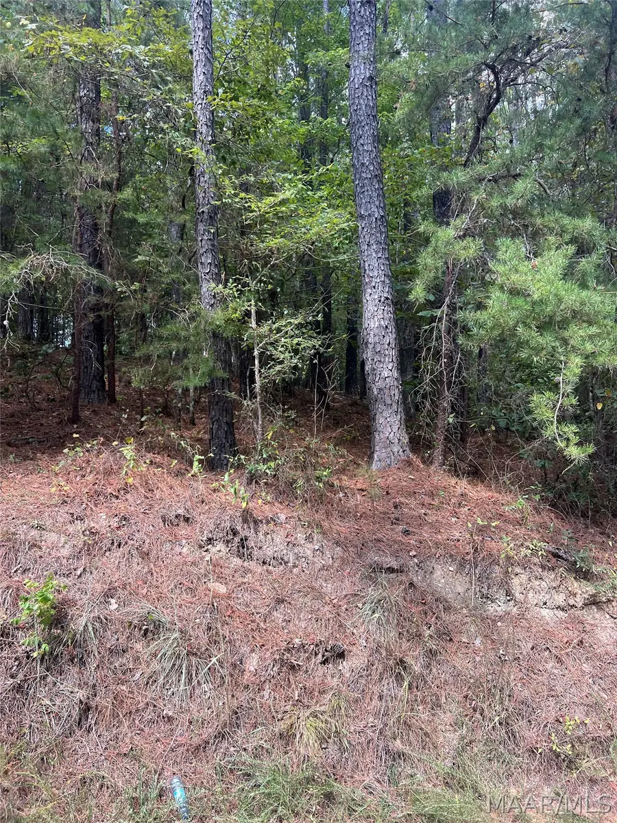 0 County Road 8 Road, Clanton, AL 35064 - #2
