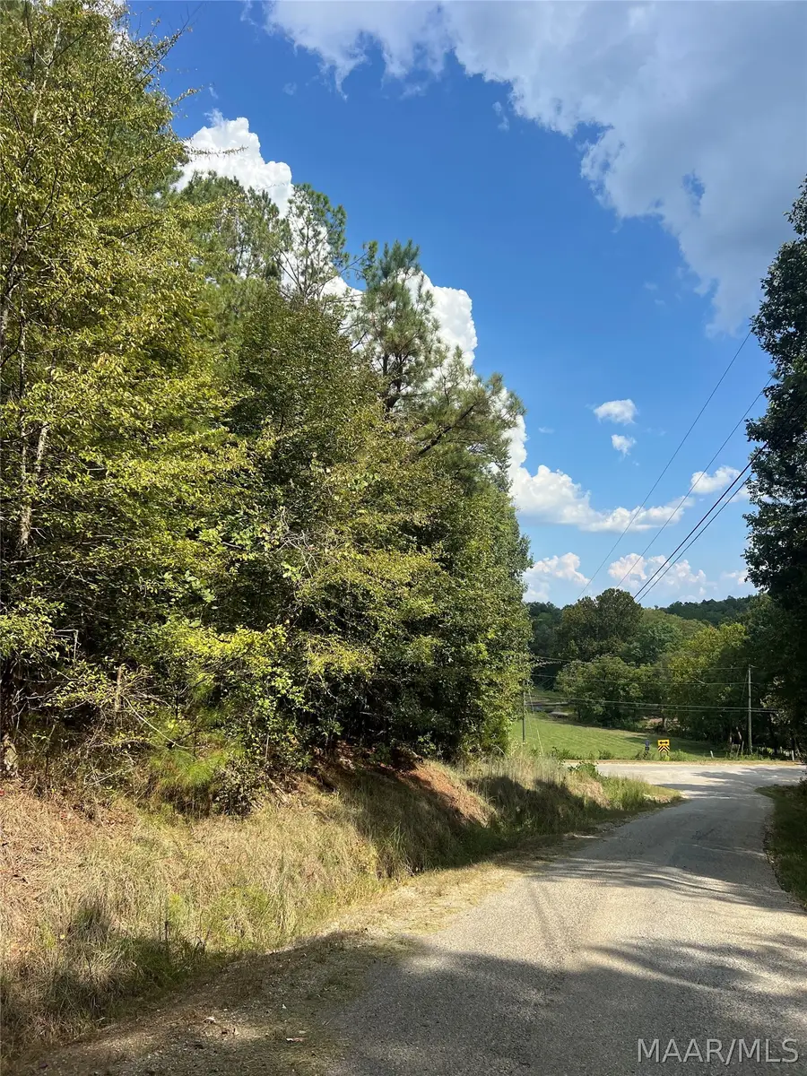 0 County Road 8 Road, Clanton, AL 35064 - #3