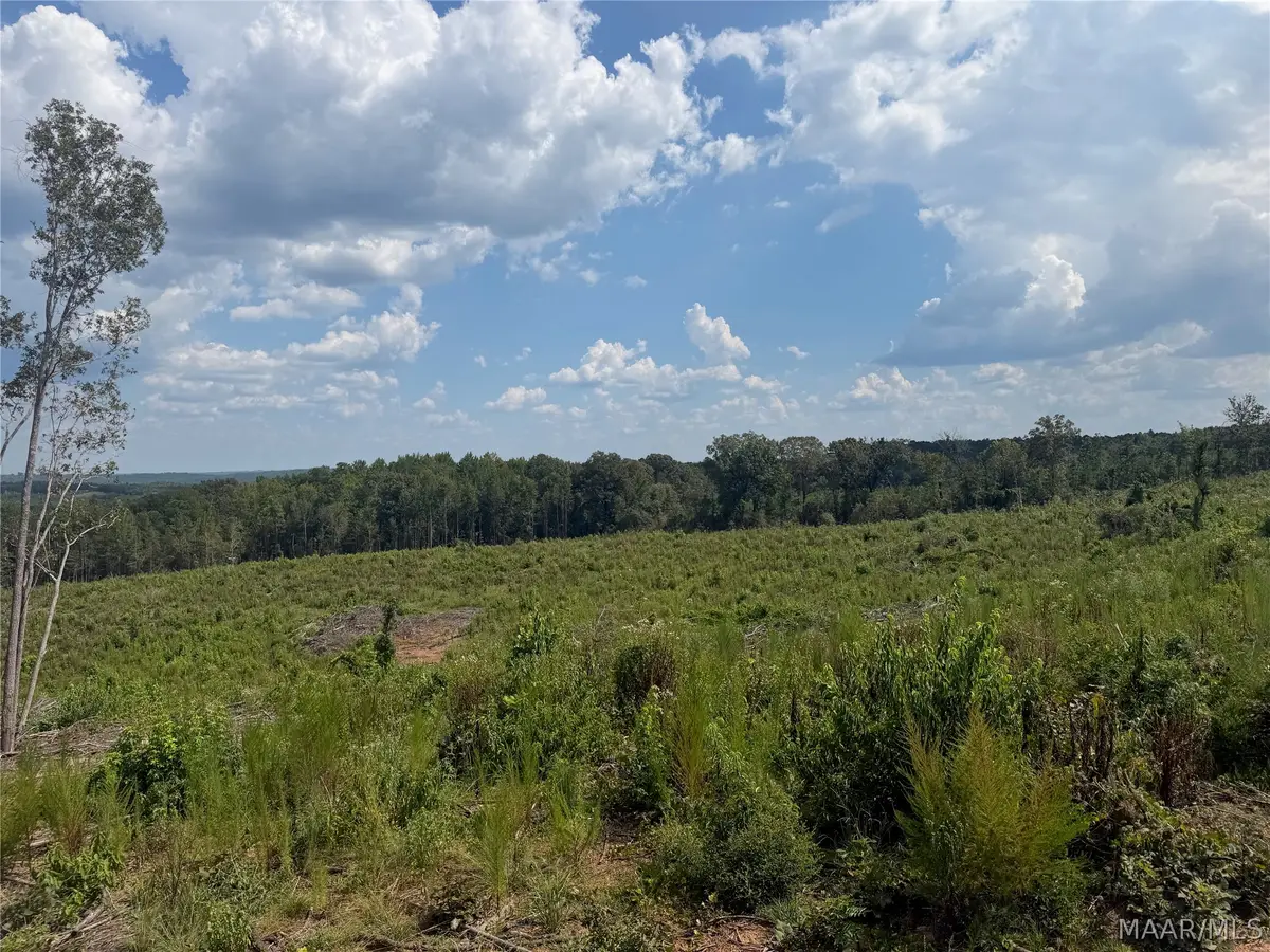 01 County Road 7, Plantersville, AL 36785 - #1