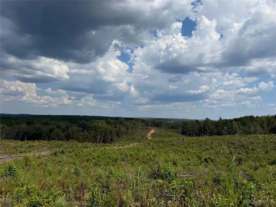 01 County Road 7, Plantersville, AL 36785 - #3