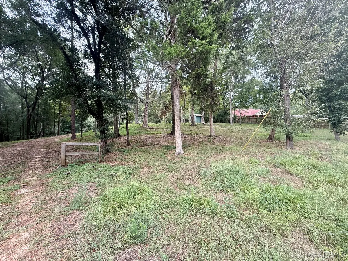 222 County Road 65, Valley Grande, AL 36701 - #1