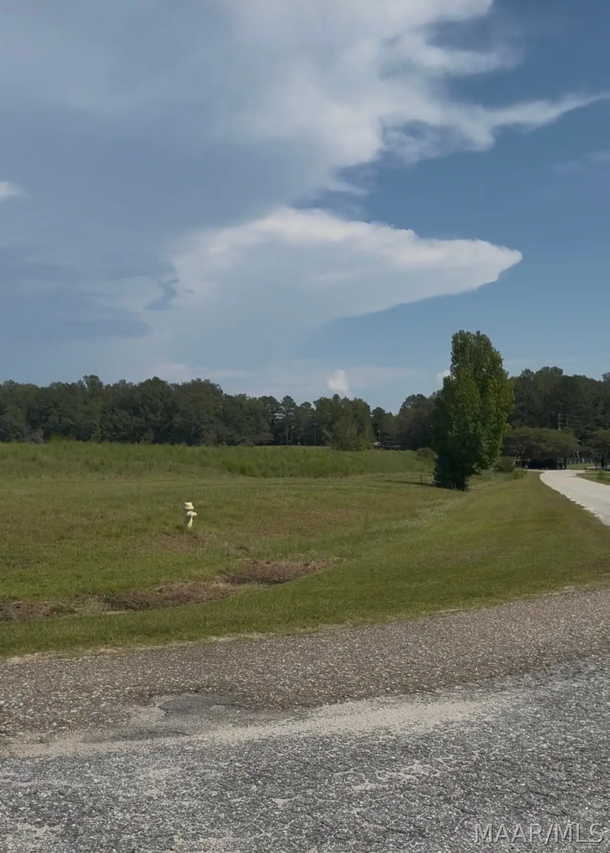Lot 4 Chesson Court, Fitzpatrick, AL 36029 - #1