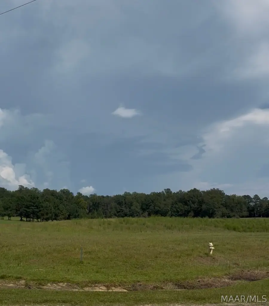 Lot 4 Chesson Court, Fitzpatrick, AL 36029 - #2