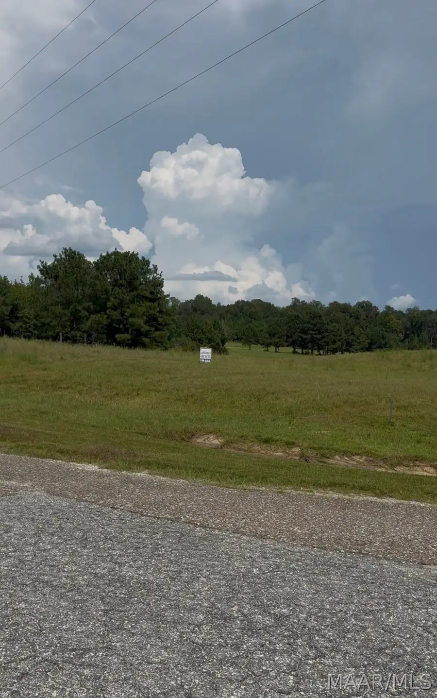 Lot 4 Chesson Court, Fitzpatrick, AL 36029 - #3