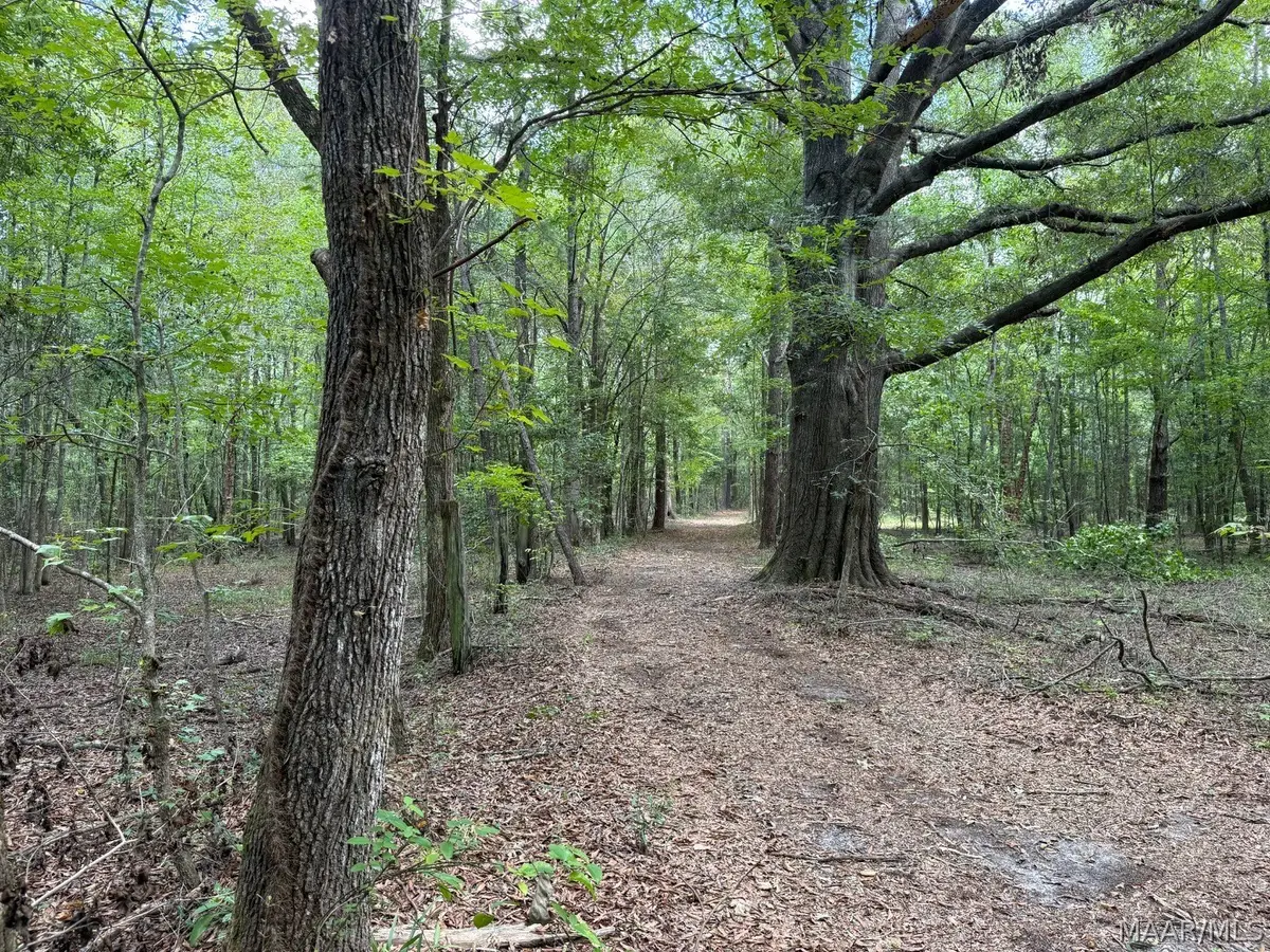 00 County Road 4 Road, Fitzpatrick, AL 36029 - #1