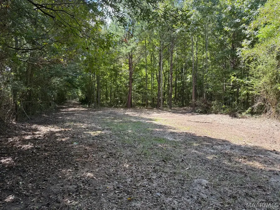 00 County Road 4 Road, Fitzpatrick, AL 36029 - #2