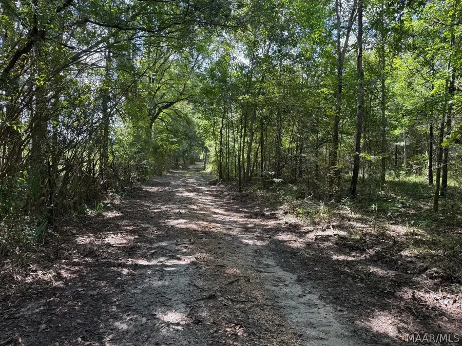 00 County Road 4 Road, Fitzpatrick, AL 36029 - #3