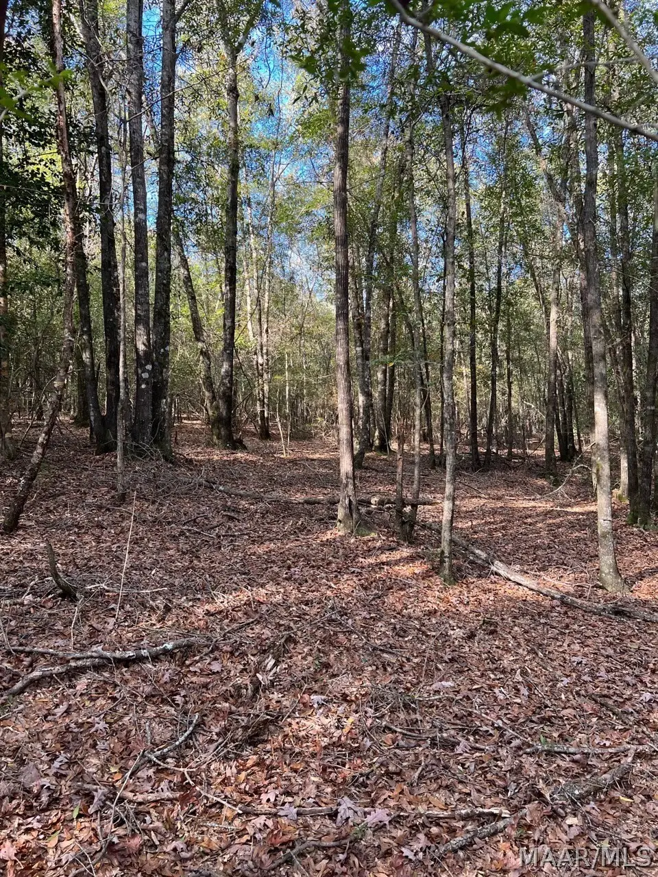 00 County Road 79 Road, Billingsley, AL 36006 - #1