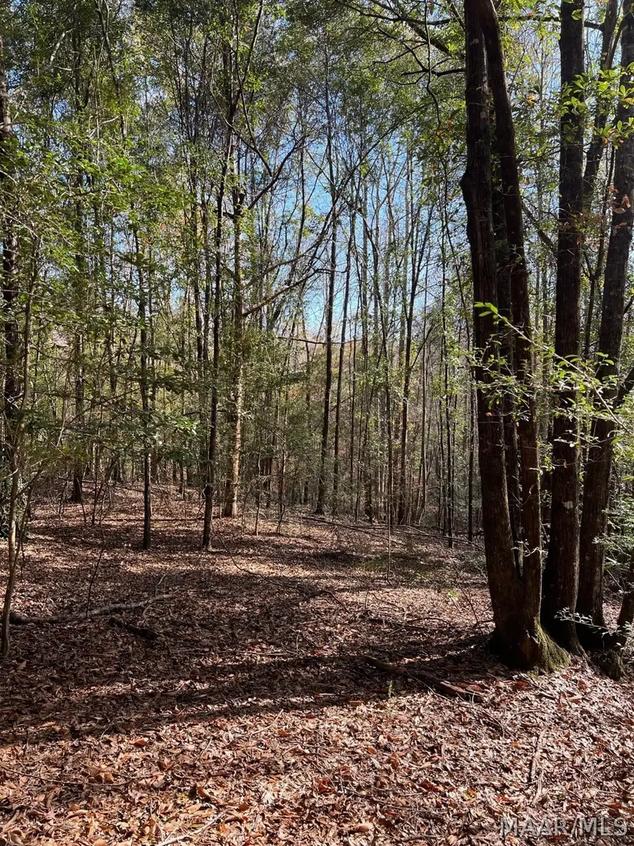 00 County Road 79 Road, Billingsley, AL 36006 - #2