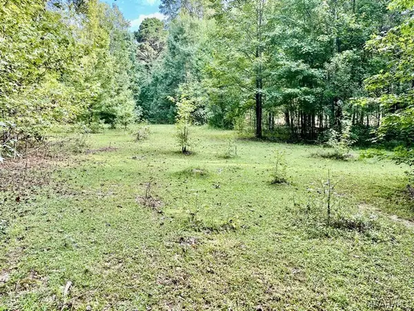 1 Mt Hebron Road, Eclectic, AL 36024