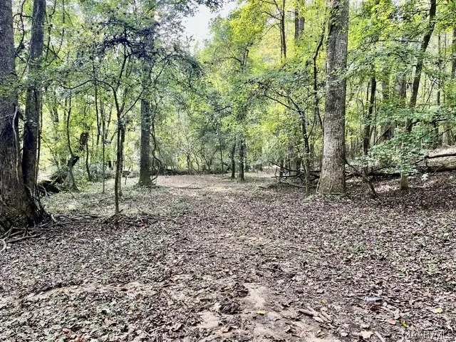 1 Mt Hebron Road, Eclectic, AL 36024 - #3