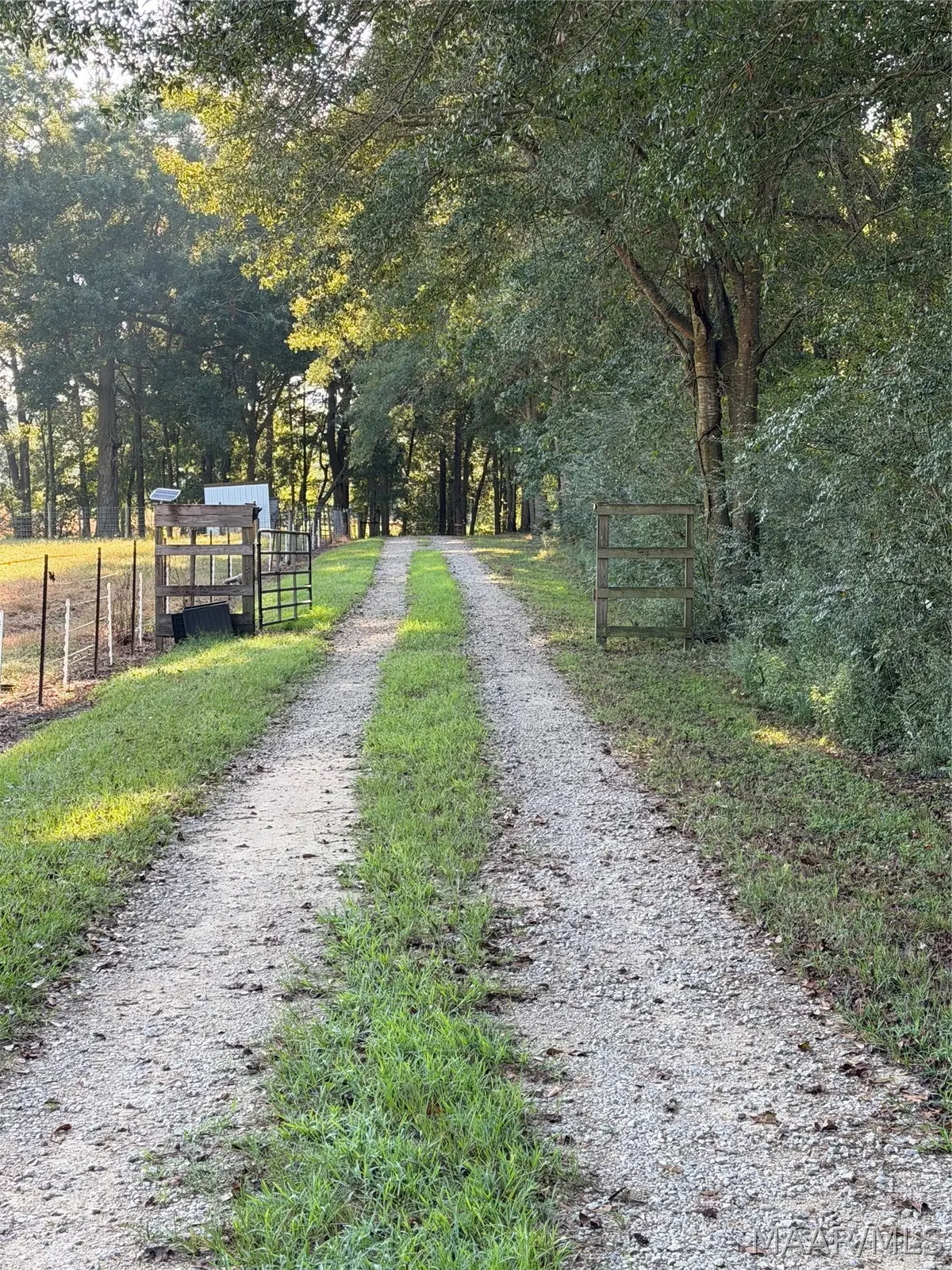 2365 Smart Road, Troy, AL 36079 - #1