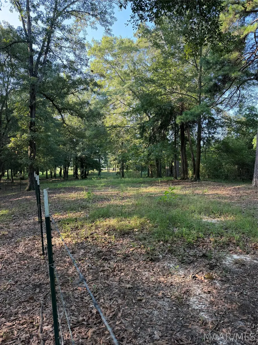2365 Smart Road, Troy, AL 36079 - #3