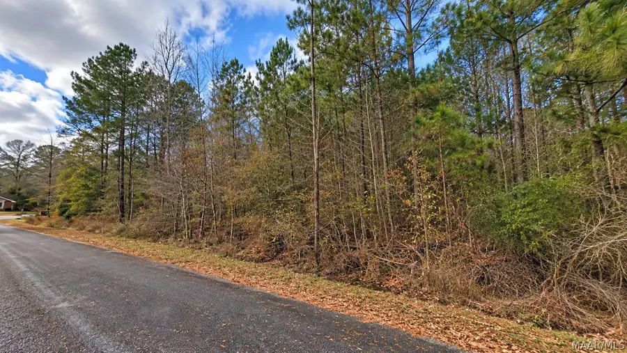 0 Castlewood Drive, Smiths Station, AL 36873 - #2
