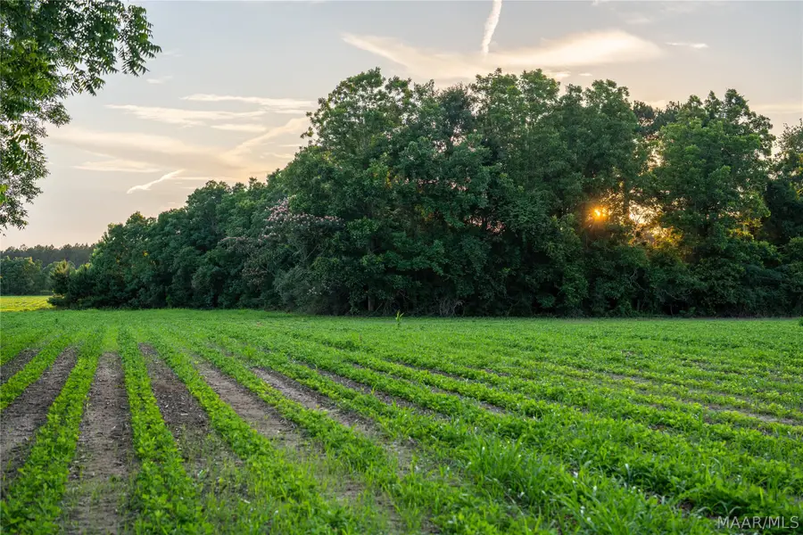0 Pine Road S, Stapleton, AL 36578 - #3