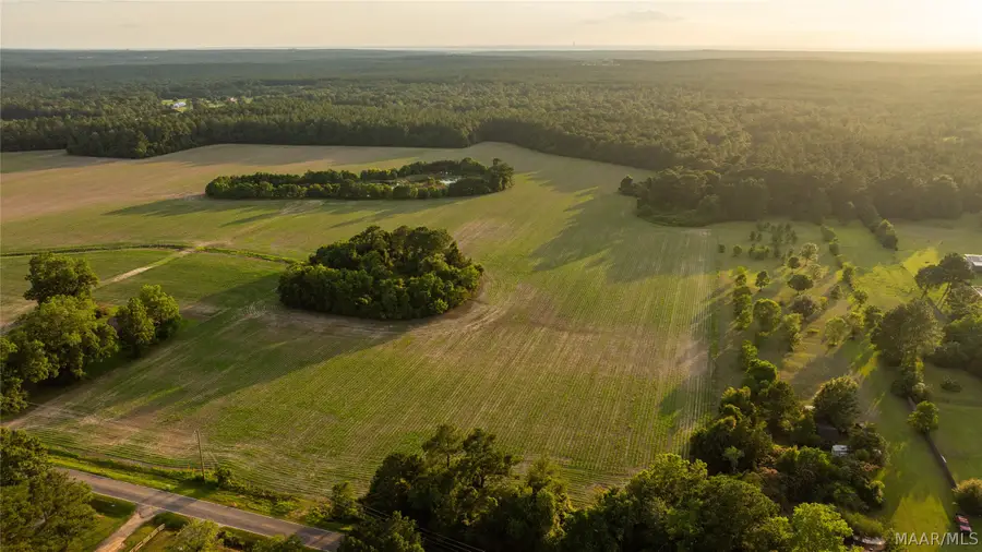 00 Pine Road S, Stapleton, AL 36578 - #2