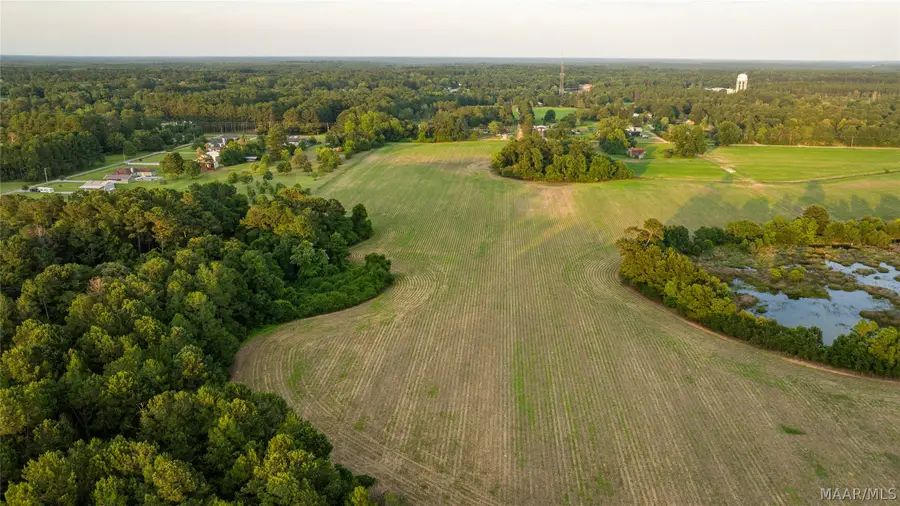 00 Pine Road S, Stapleton, AL 36578 - #3