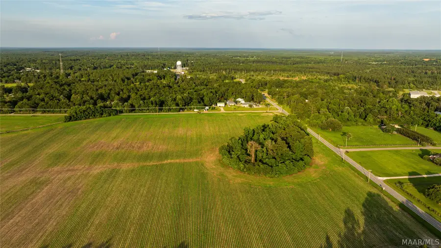 000 Pine Road, Stapleton, AL 36578 - #2