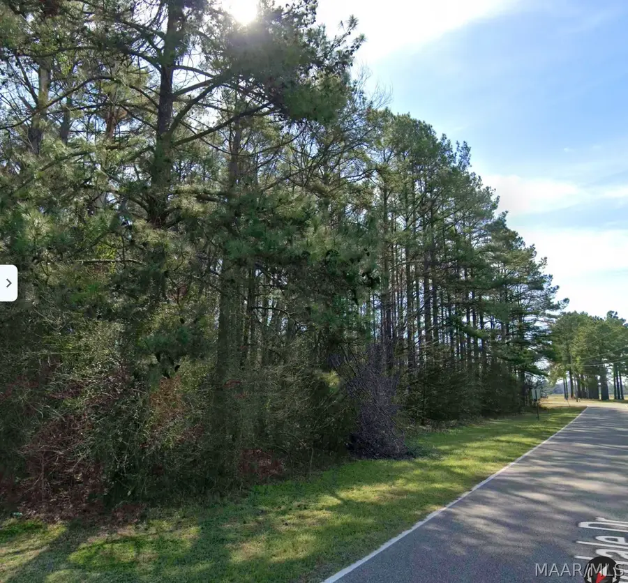 00 Valleydale Drive, Valley Grande, AL 36703 - #2