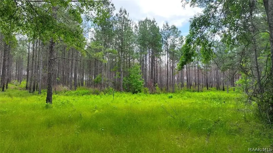 2238 Jug Factory Road, Wetumpka, AL 36093 - #3