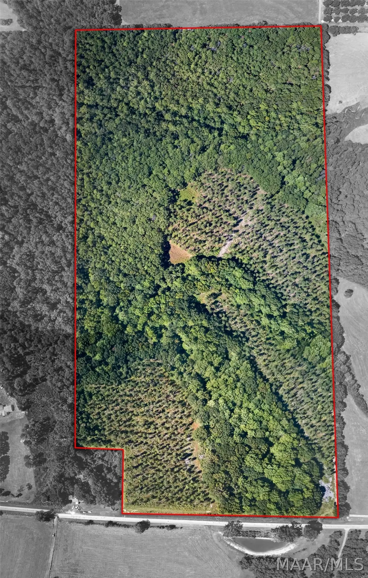 00 County Road 31, Notasulga, AL 36866 - #1