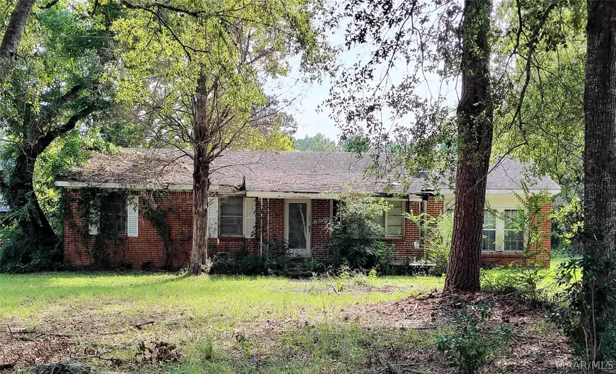 26 Trout Road, Lapine, AL 36046 - #2