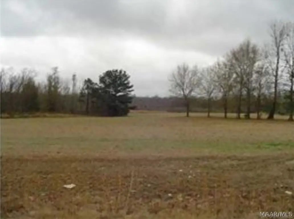 57 Chesson Hill #LOT 57, Fitzpatrick, AL 36029 - #1