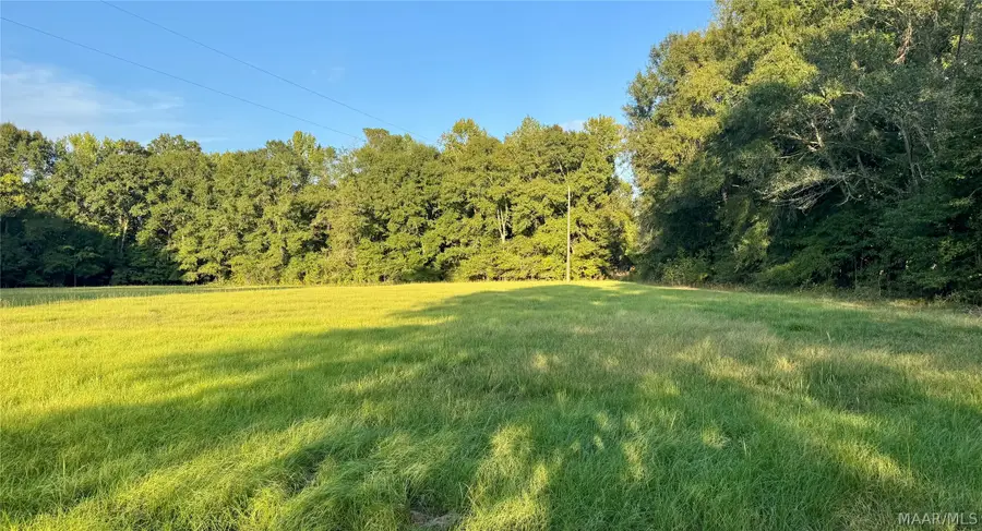 331 Old Barnes Road, Pine Level, AL 36065 - #2