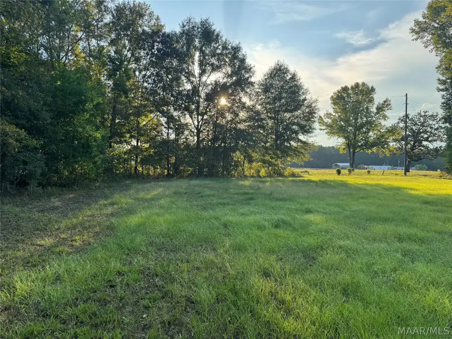 359 Old Barnes Road, Mathews, AL 36052 - #3