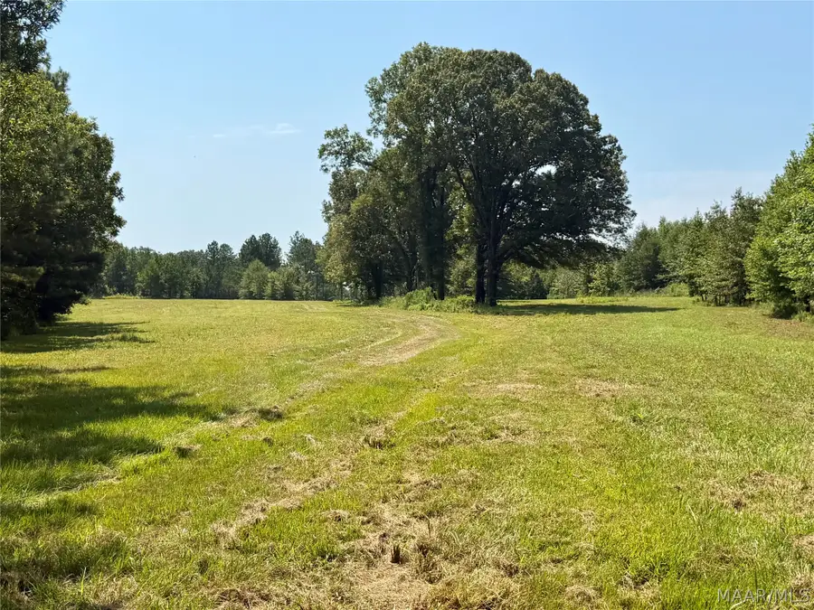 0 County Road 2 Road, Hardaway, AL 36039 - #2