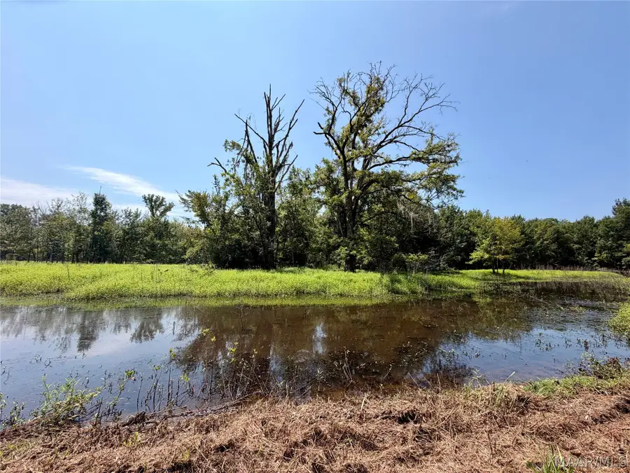 0 County Road 2 Road, Hardaway, AL 36039 - #3